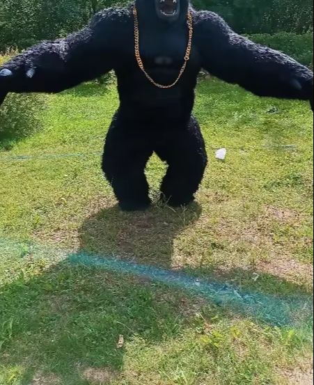Anime Cosplay Real Life - Real Life Inflatable Gorilla Costume Full