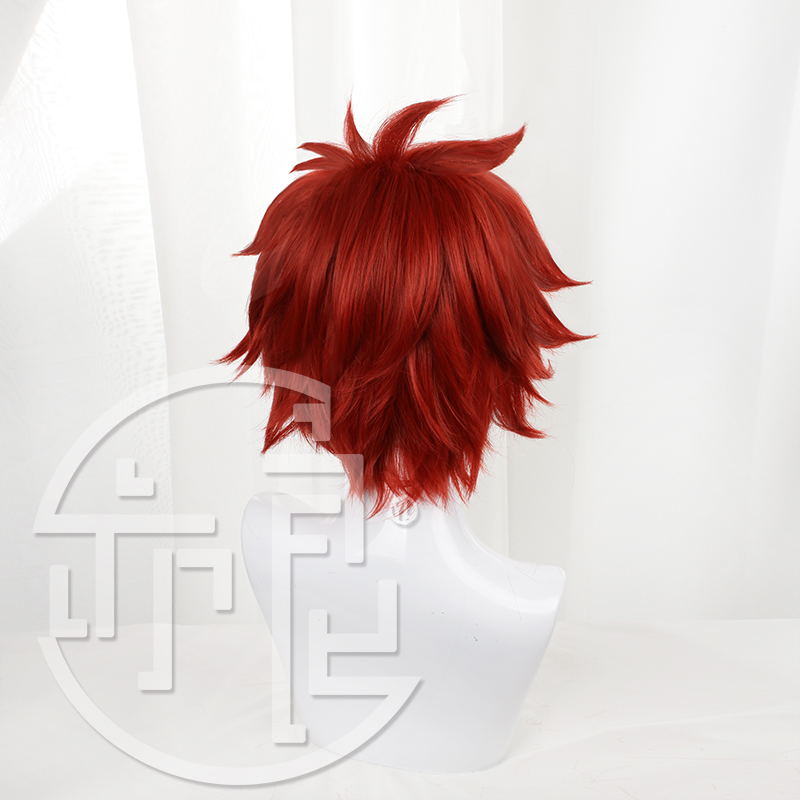 Anime SK8 the Infinity Reki Co - Anime Cosplay Red Hair recension och pris