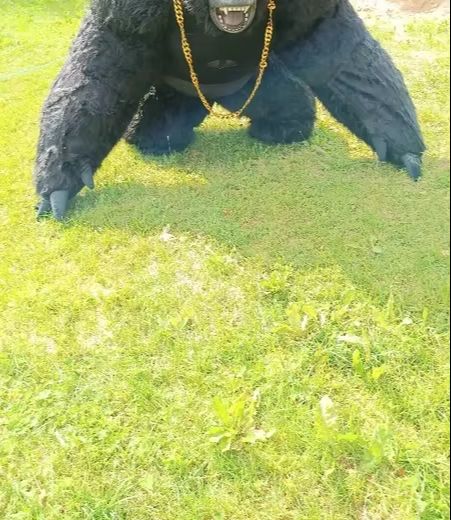 Real Life Inflatable Gorilla C - Anime Cosplay Real Life recension och pris