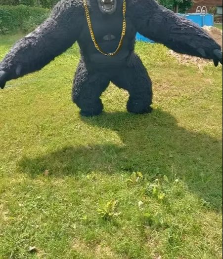 Real Life Inflatable Gorilla C - Anime Cosplay Real Life recension och pris